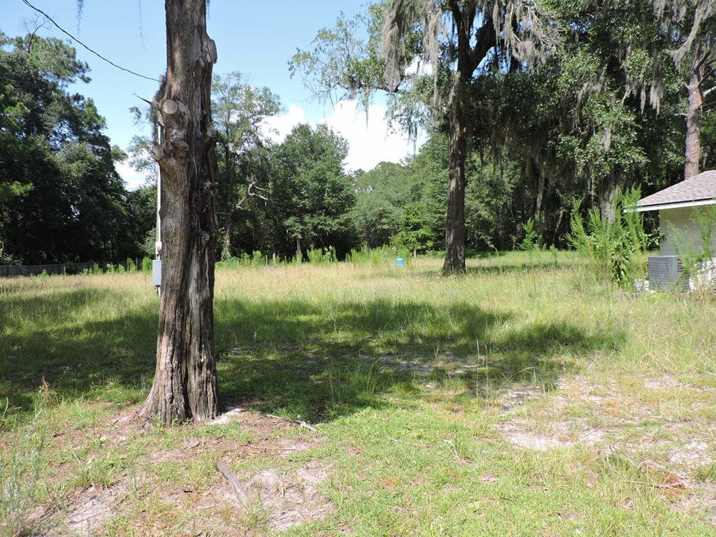 5355 Massee Post Road Adel, GA 31620 - Photo 6 of 10 Gallery Image 6