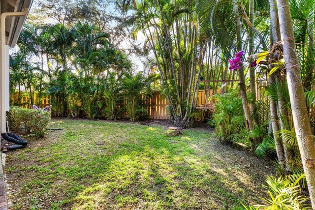 a view of swings on a tree
