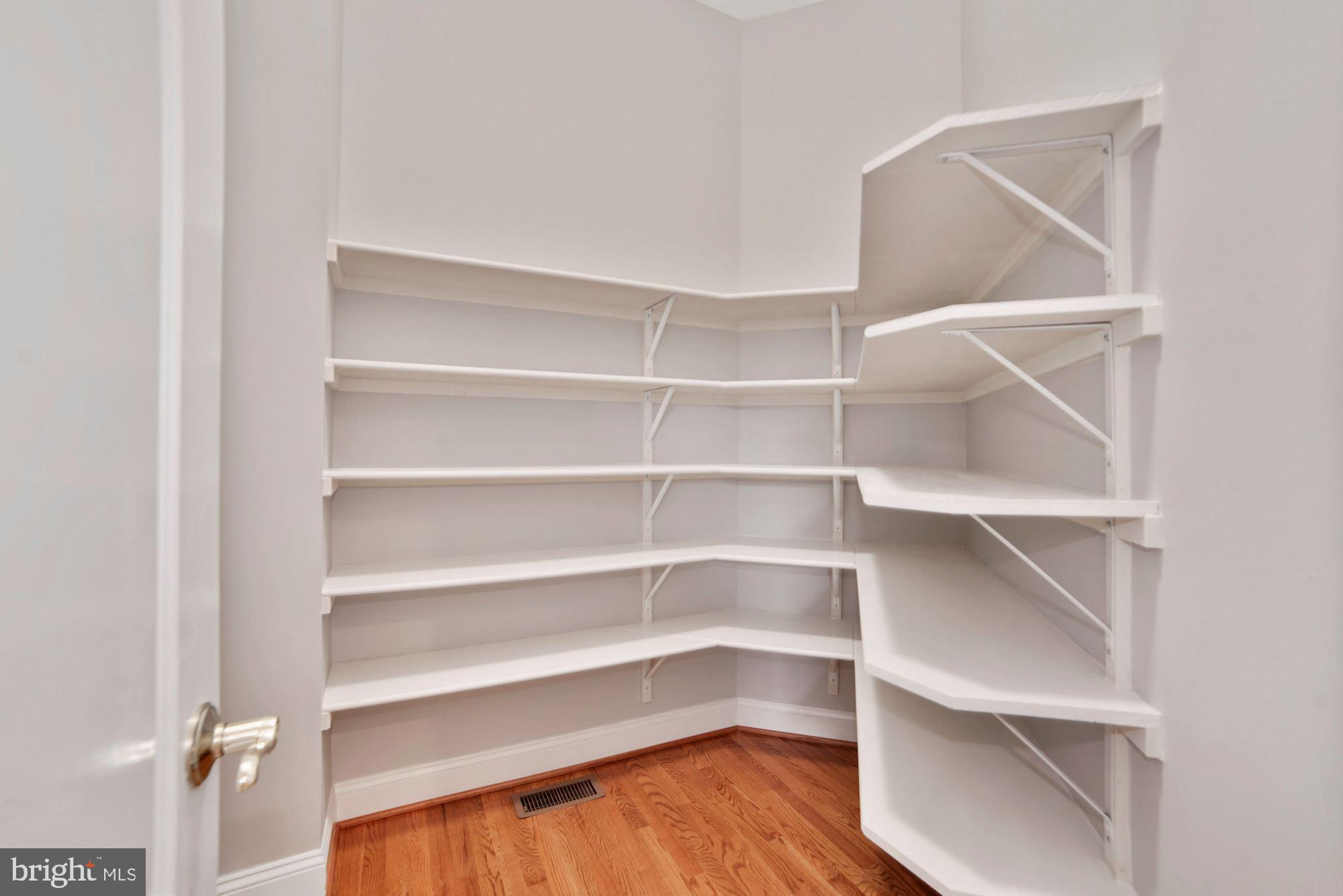 8238 Snead Loop Gainesville, VA 20155 - Photo 12 of 49 a view of walk in closet with empty racks