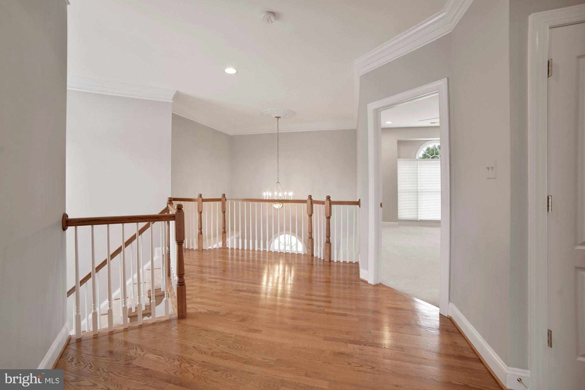 8238 Snead Loop Gainesville, VA 20155 - Photo 20 of 49 a view of entryway with wooden floor