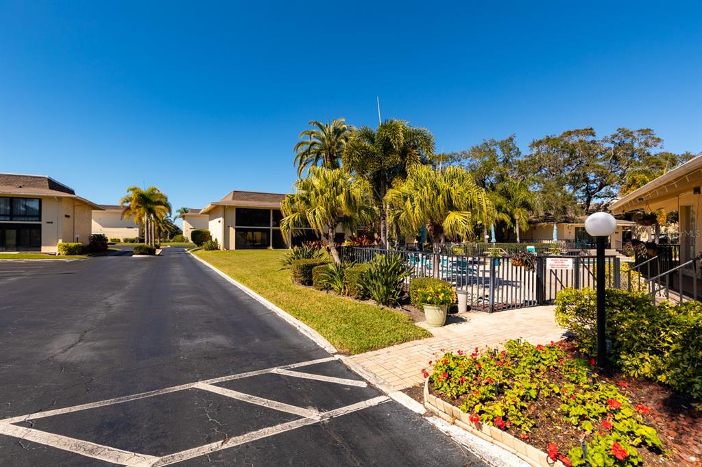12300 Vonn Road, Unit 6303 Largo, FL 33774 - Photo 26 of 36 a view of swimming pool with outdoor seating and plants