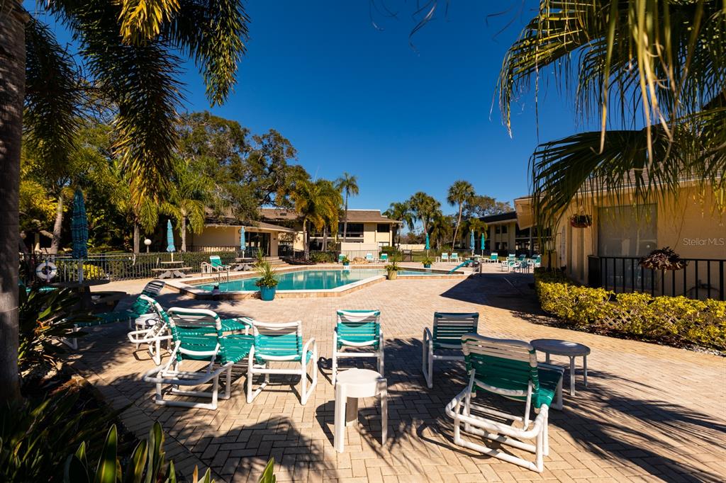 12300 Vonn Road, Unit 6303 Largo, FL 33774 - Photo 28 of 36 a view of a patio with swimming pool