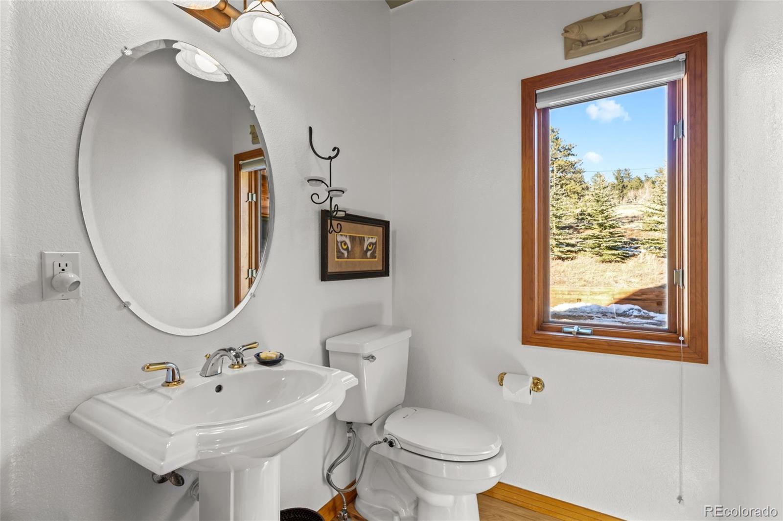 44 Forest Ridge Circle Bailey, CO 80421 - Photo 19 of 50 a bathroom with a toilet sink and mirror
