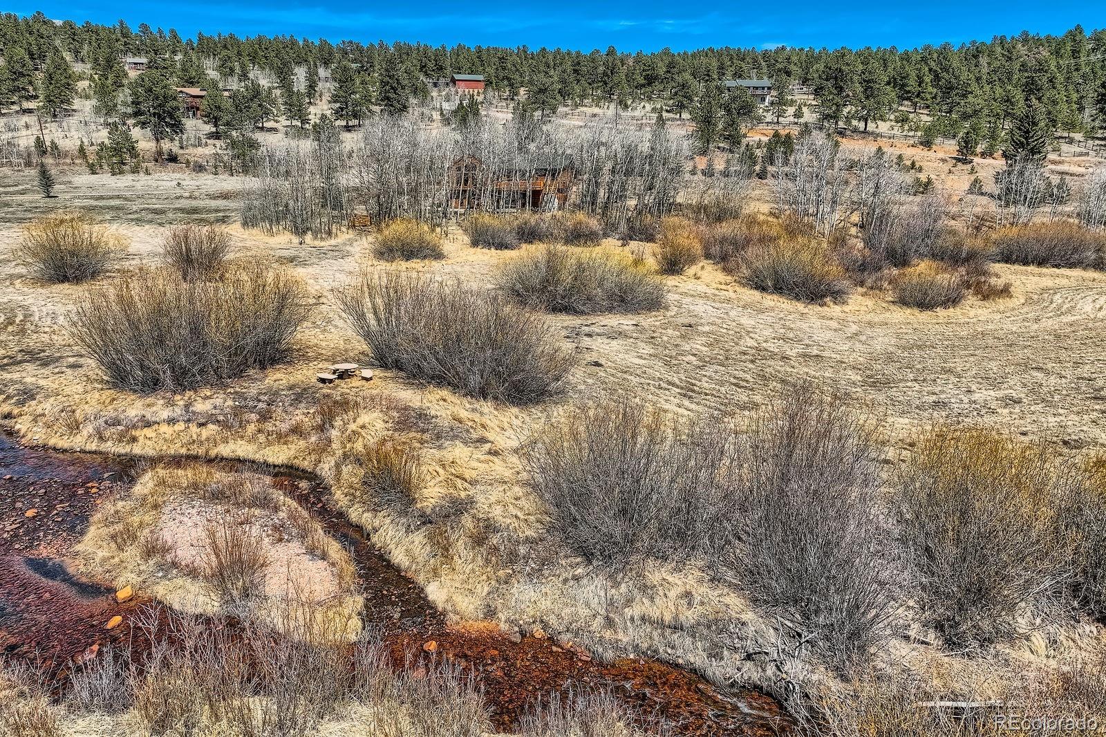 44 Forest Ridge Circle Bailey, CO 80421 - Photo 2 of 50
