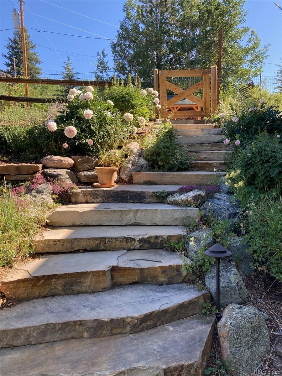 44 Forest Ridge Circle Bailey, CO 80421 - Photo 28 of 50