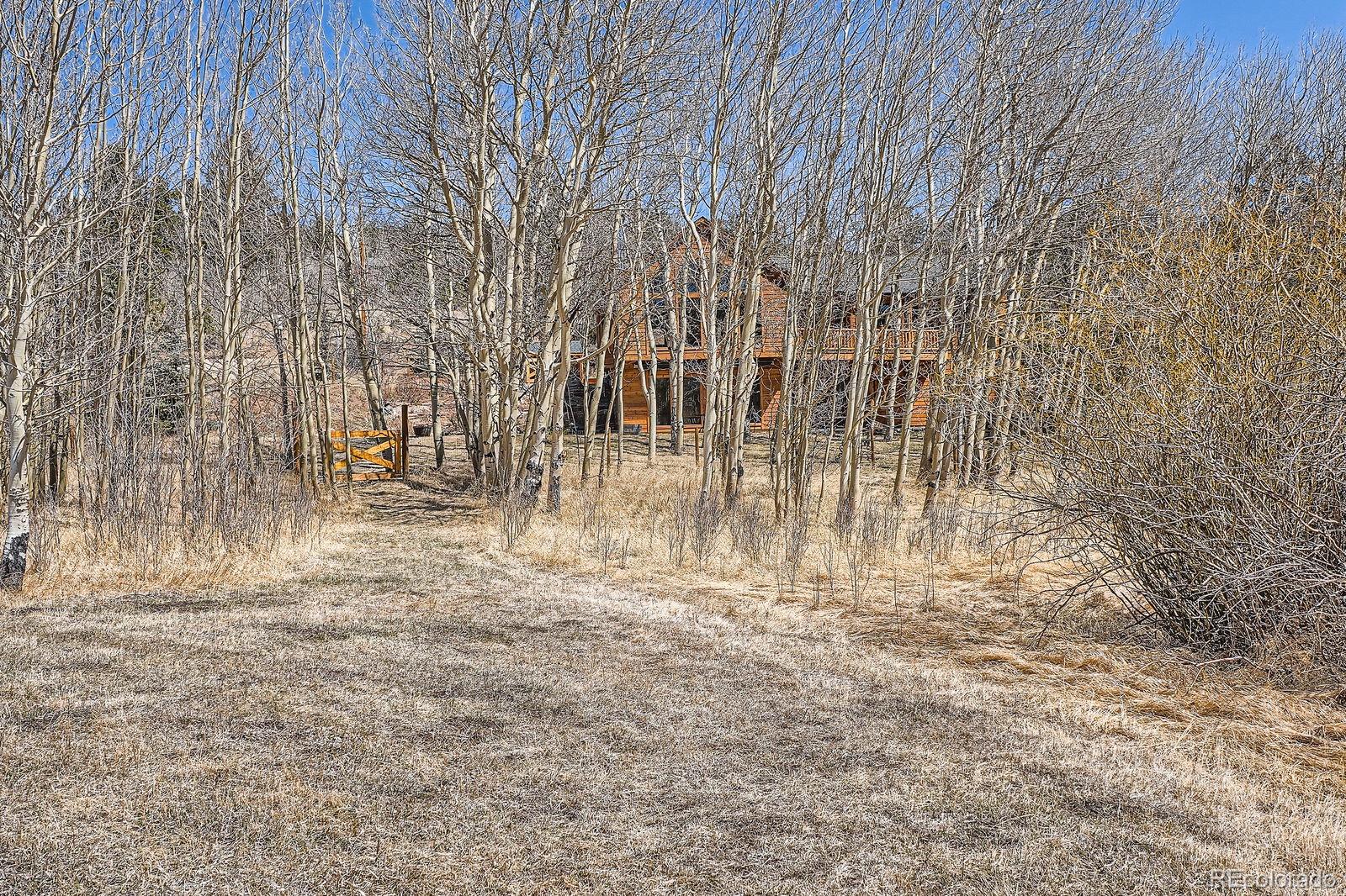 44 Forest Ridge Circle Bailey, CO 80421 - Photo 34 of 50