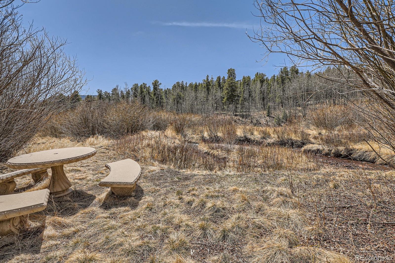44 Forest Ridge Circle Bailey, CO 80421 - Photo 38 of 50 a view of a terrace with toilet and a garden
