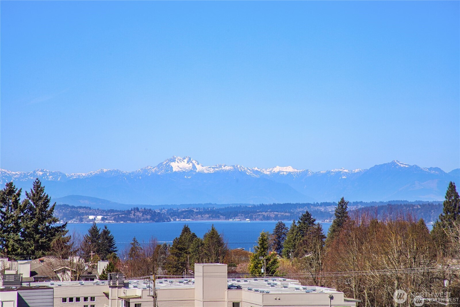 6318 41st Avenue Southwest, Unit AF Seattle, WA 98136 - Photo 17 of 18