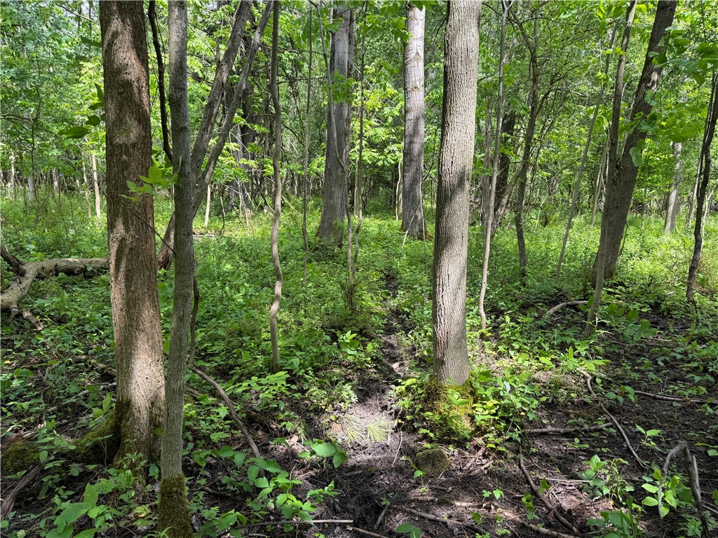Vl Reed Road Dansville, NY 14437 - Photo 24 of 29