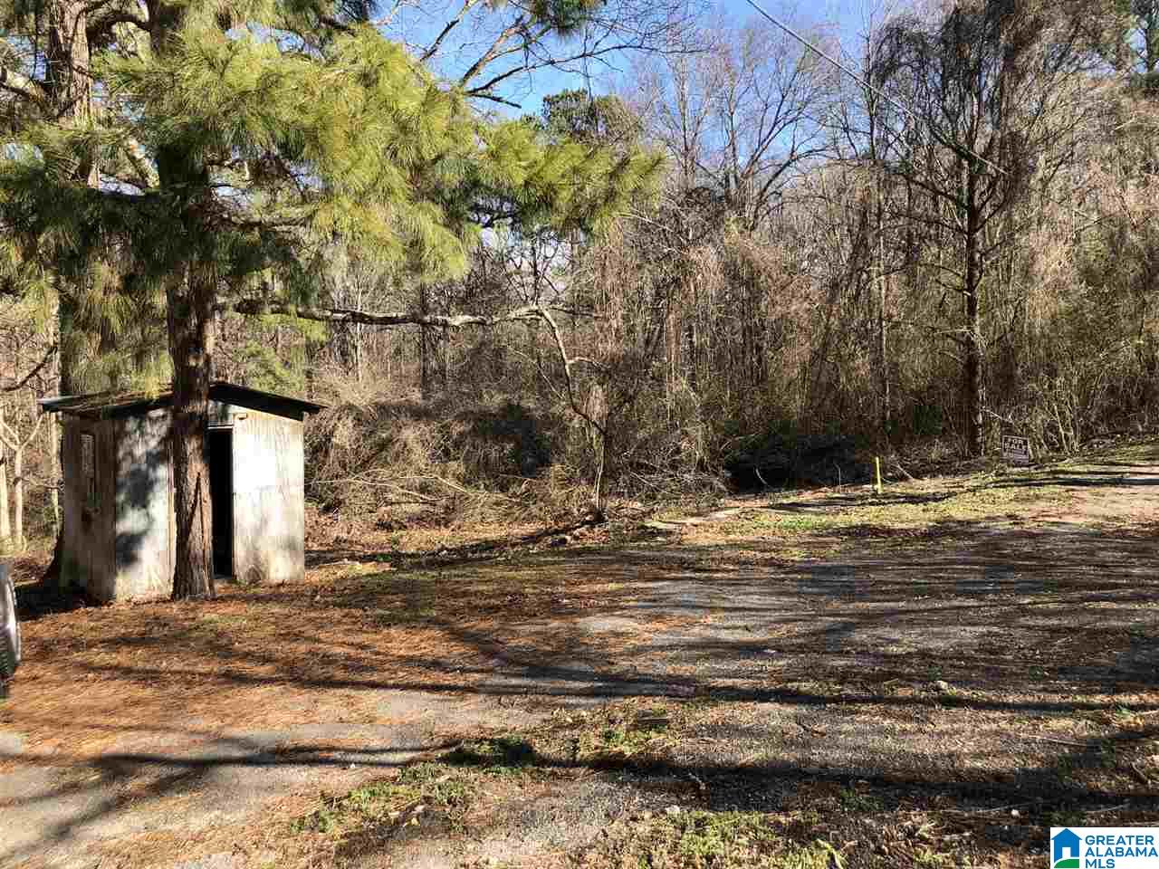 6676 Davison Road Pinson, AL 35126 - Photo 2 of 12