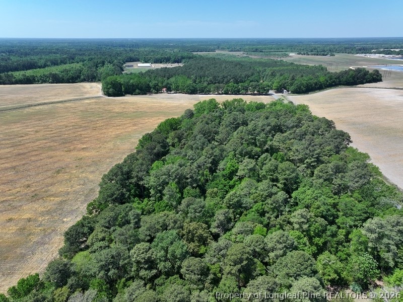 Tbd North Duffie Road Red Springs, NC 28377 - Photo 3 of 24