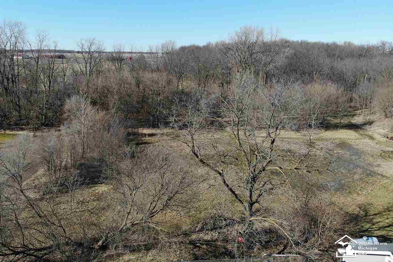 17070 Kent Road Dundee, MI 48131 - Photo 36 of 38