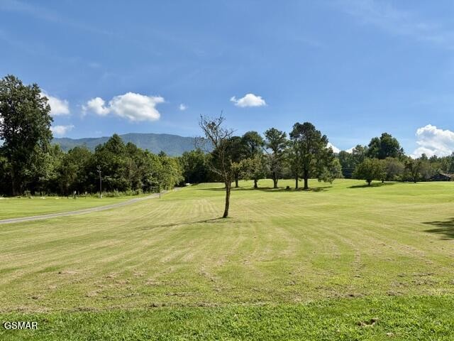139 Martha McCarter Road Gatlinburg, TN 37738 - Photo 4 of 26 Gallery Image 4