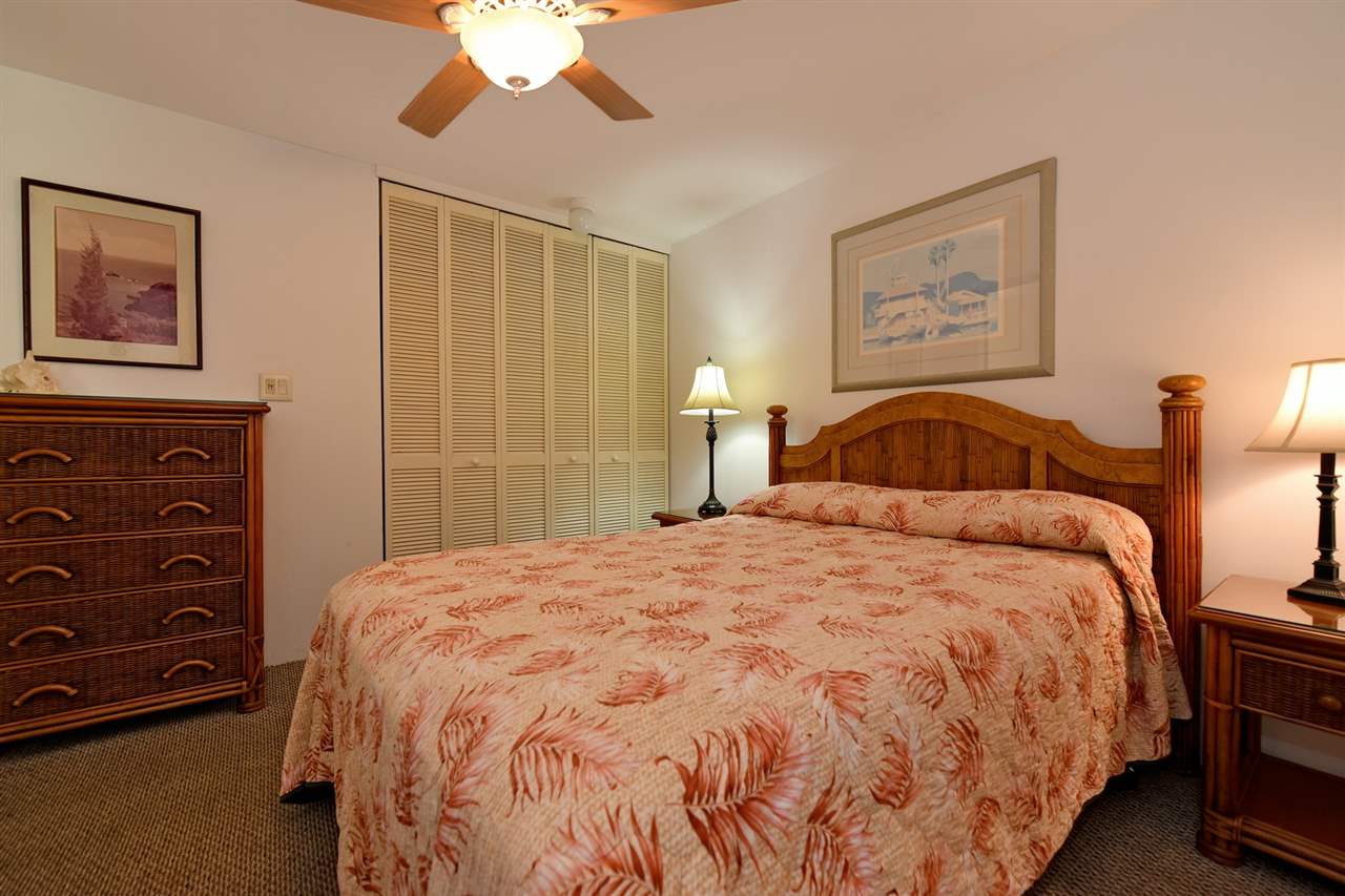 3601 Lower Honoapiilani Road, Unit 209 Lahaina, HI 96761 - Photo 13 of 26 Gallery Image 13