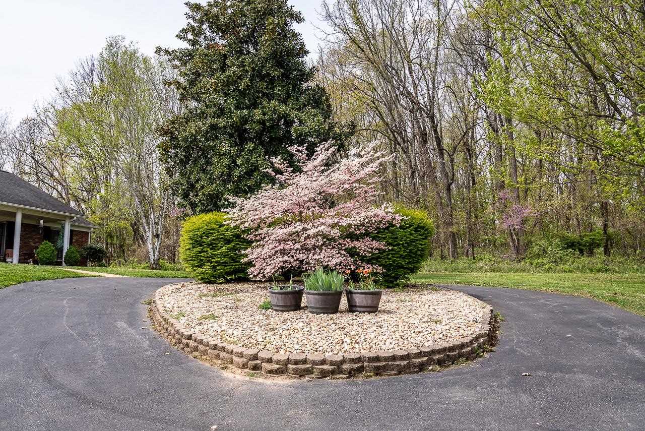 2833 Shutterlee Mill Road Staunton, VA 24401 - Photo 41 of 70 a view of a yard with large trees