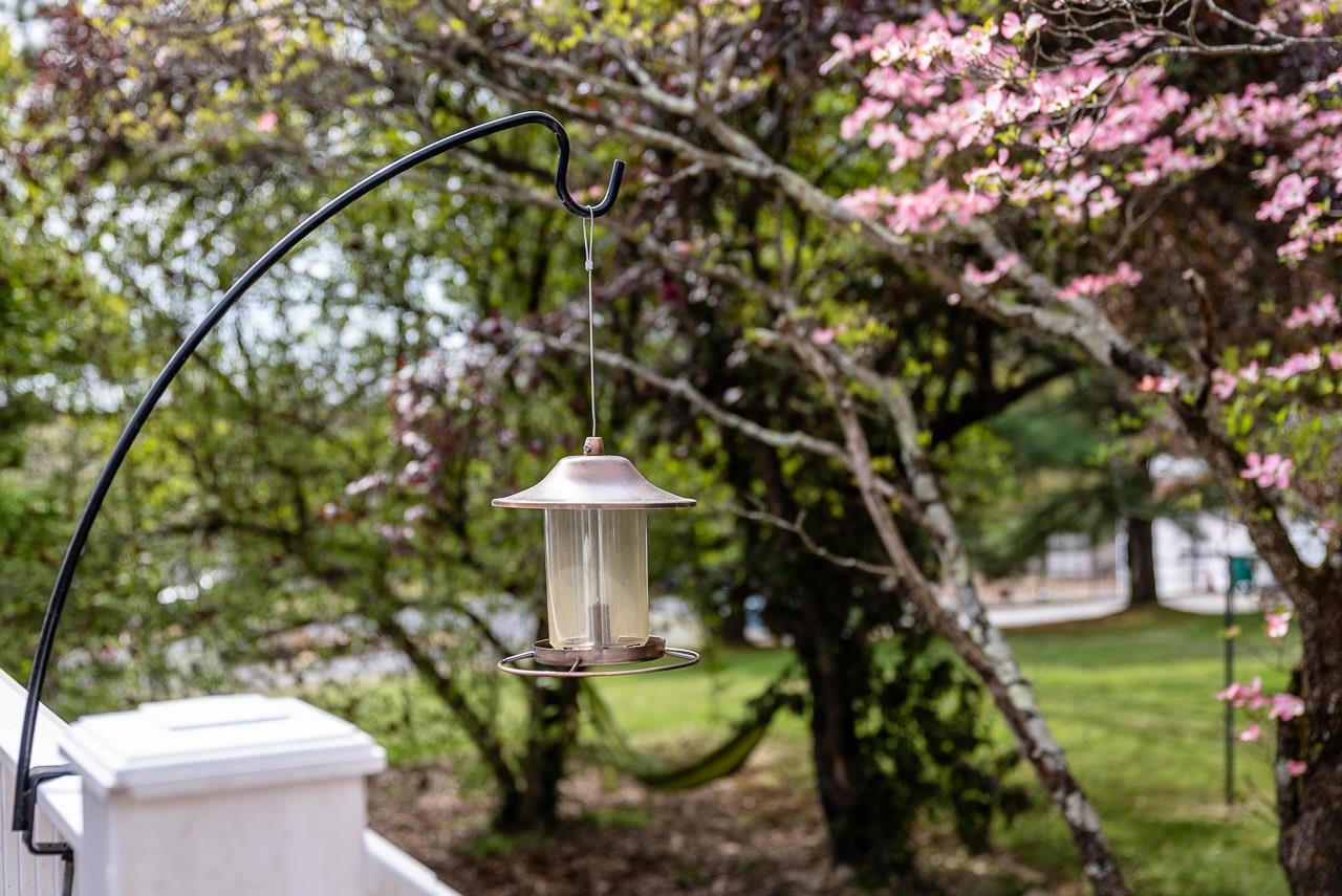 2833 Shutterlee Mill Road Staunton, VA 24401 - Photo 53 of 70 a view of a fountain with a tree in a yard