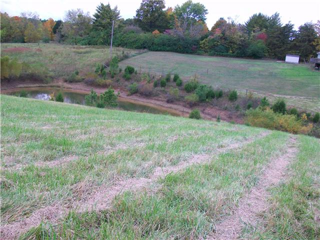0 Old County House Road, Unit 6 Charlotte, TN 37036 - Photo 1 of 2 Gallery Image 1