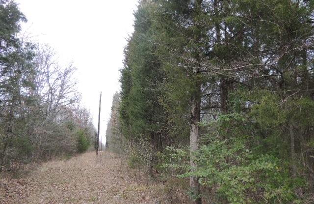 a view of a forest with trees in the background