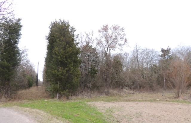 4455 County Road 4455 Point, TX 75472 - Photo 4 of 4 a view of backyard with green space
