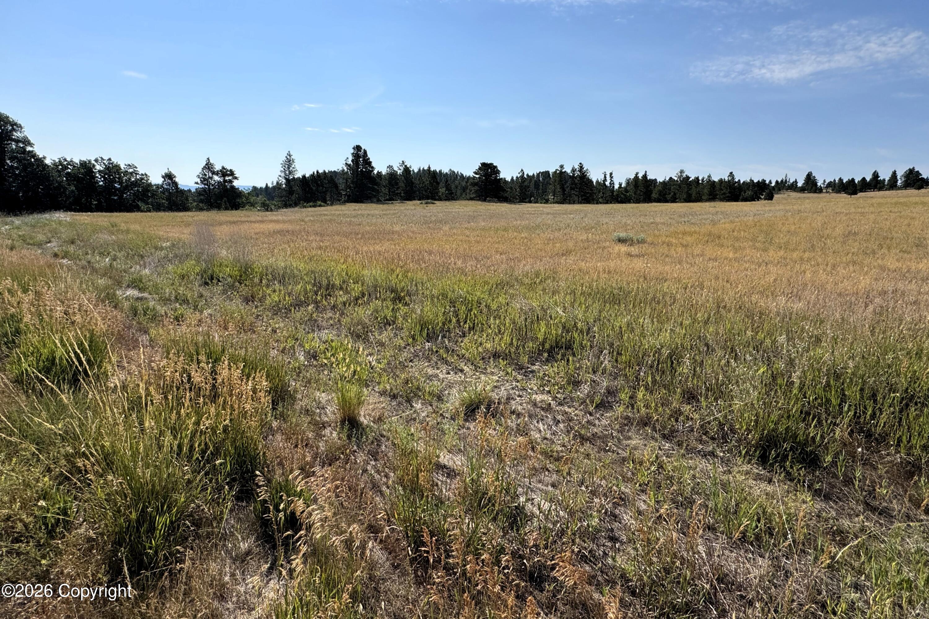 14 Soaring Eagle Road Hulett, WY 82720 - Photo 3 of 3 Gallery Image 3