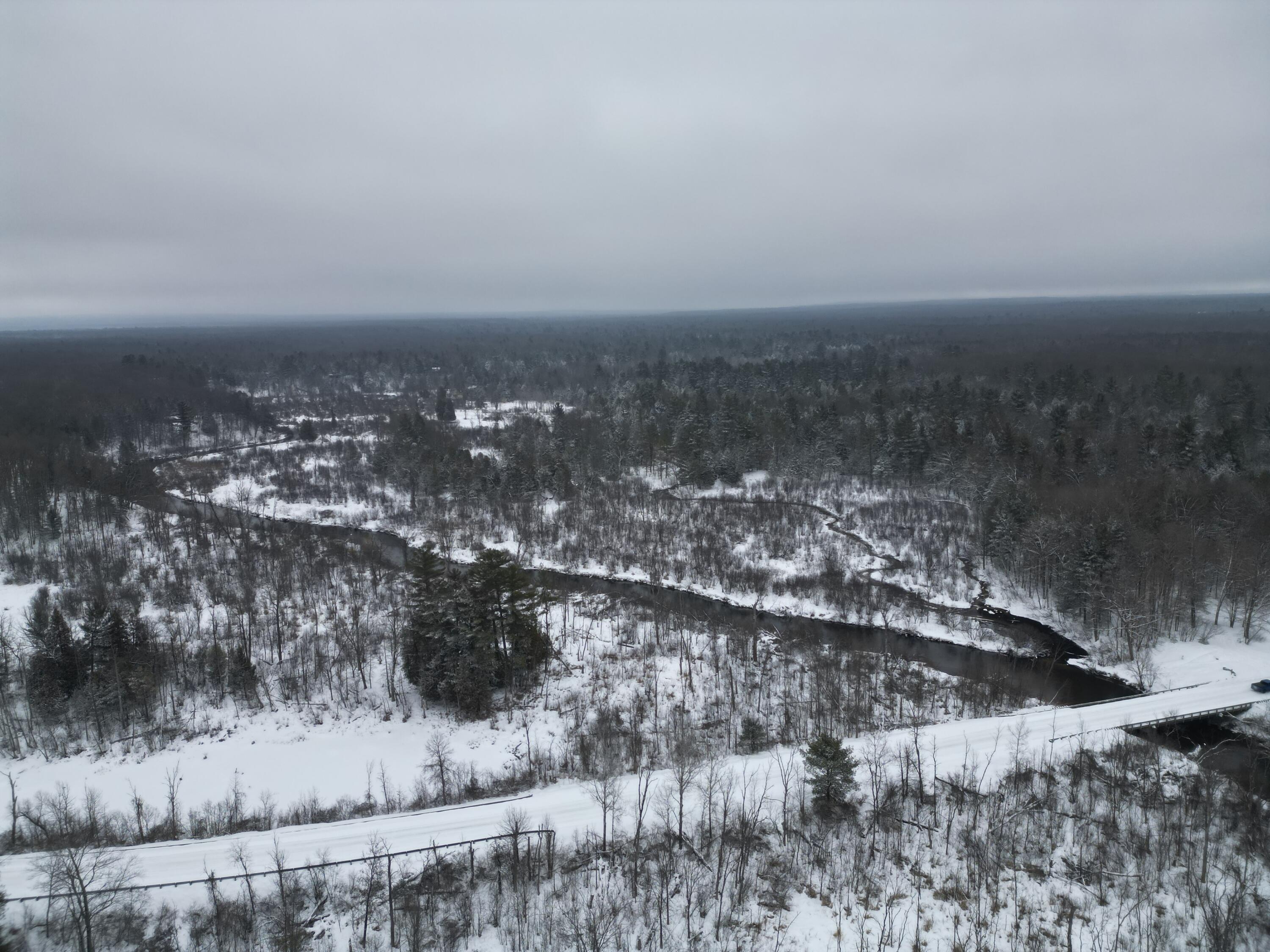 785 South Walhalla Road Branch, MI 49402 - Photo 15 of 30 DJI_0521
