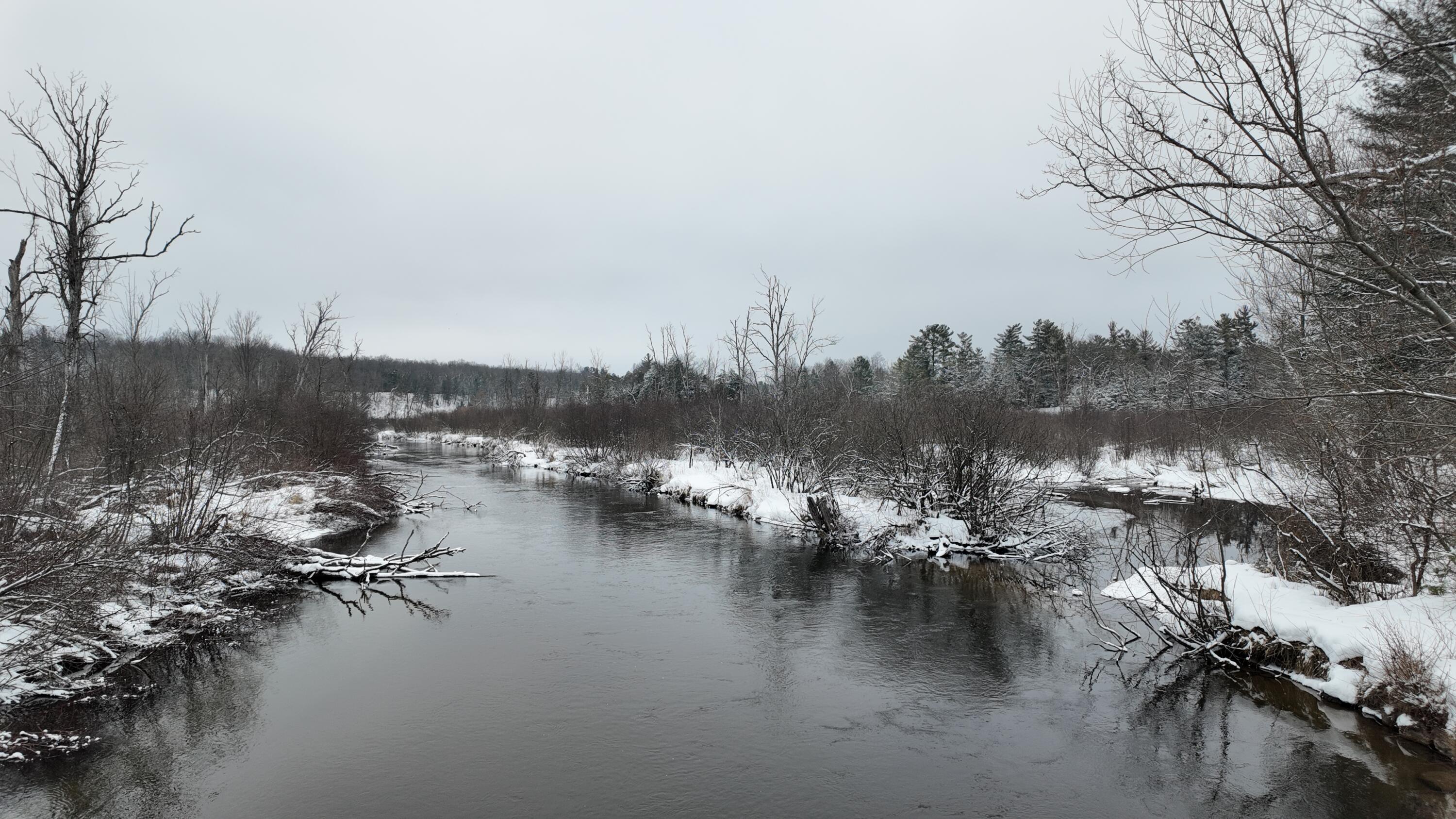 785 South Walhalla Road Branch, MI 49402 - Photo 30 of 30 DJI_20250202145740_0471_D