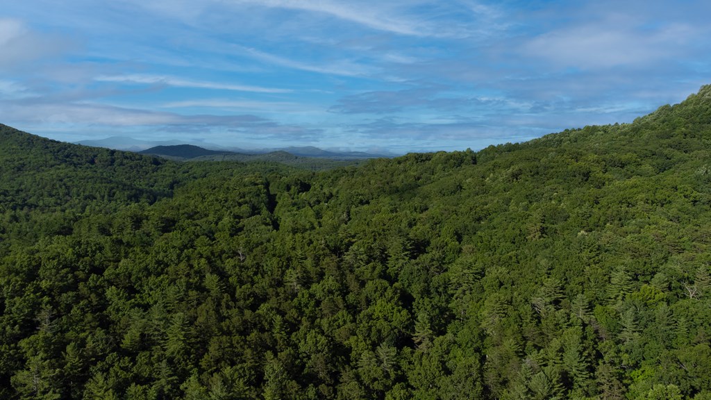 Lot 18 Cub Trail Cherry Log, GA 30522 - Photo 12 of 17