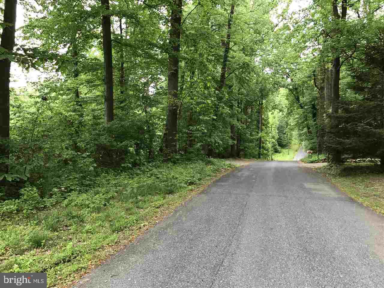 158 Oak Road Conestoga, PA 17516 - Photo 8 of 20