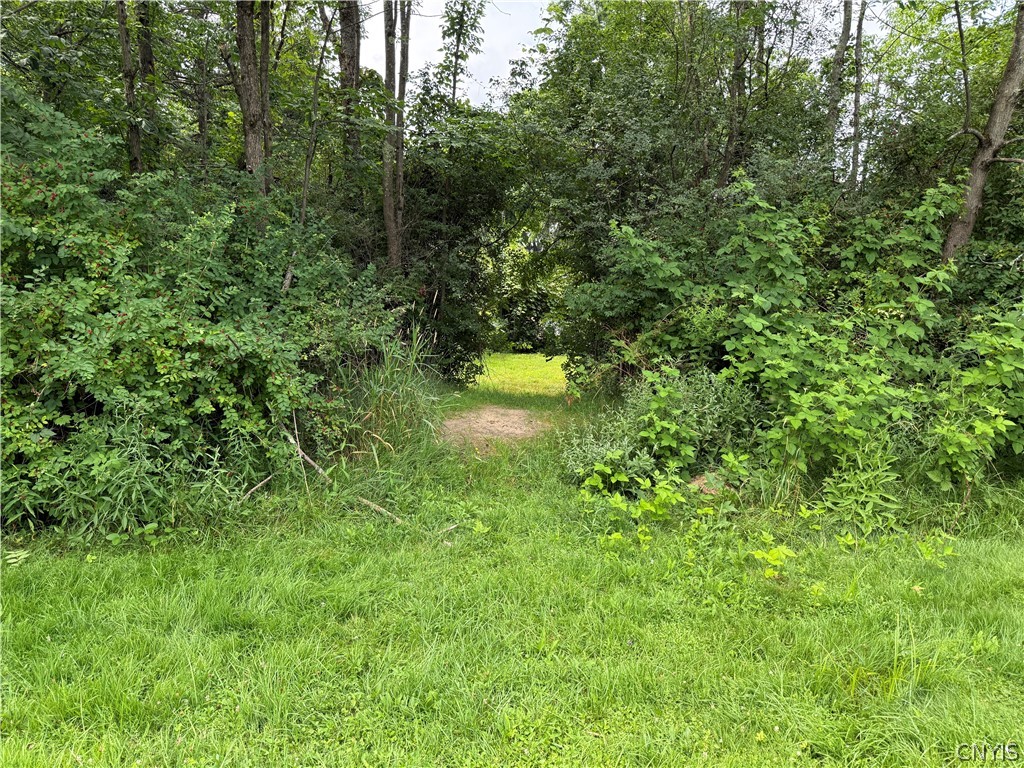 Prescott Road Deerfield, NY 13502 - Photo 15 of 15