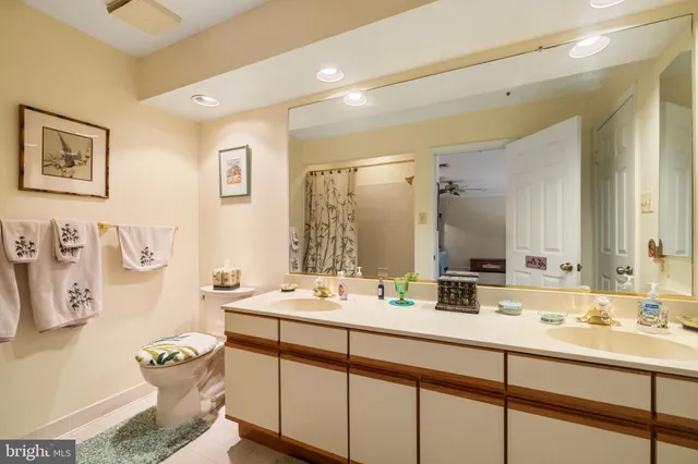 a bathroom with a double vanity sink mirror and toilet