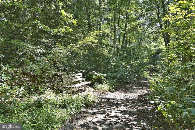 a view of a tennis court