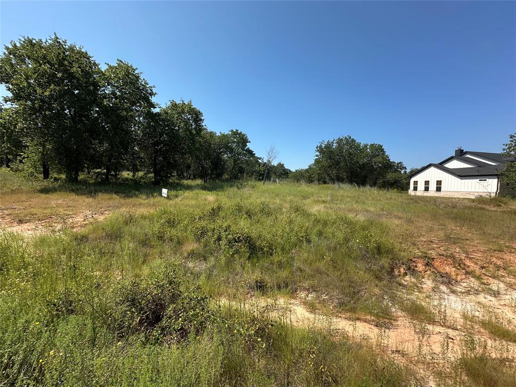 1029 Rose Court Nemo, TX 76070 - Photo 1 of 2 a view of a field with an trees in the background