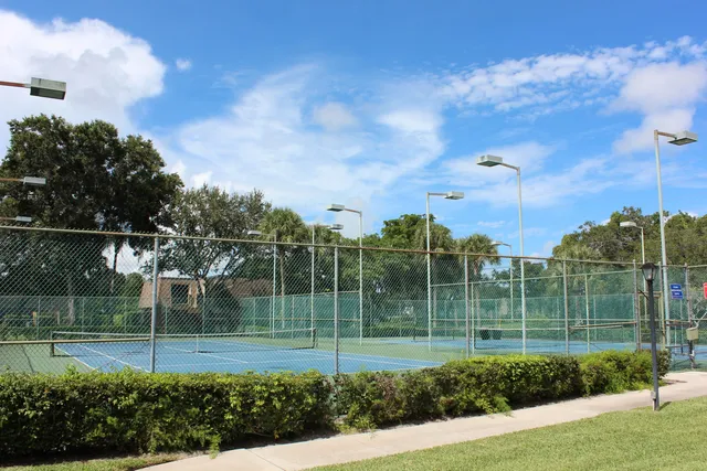 a view of a lake with a yard and a large tree