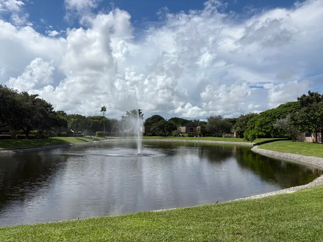 a backyard of a house with plants and trees