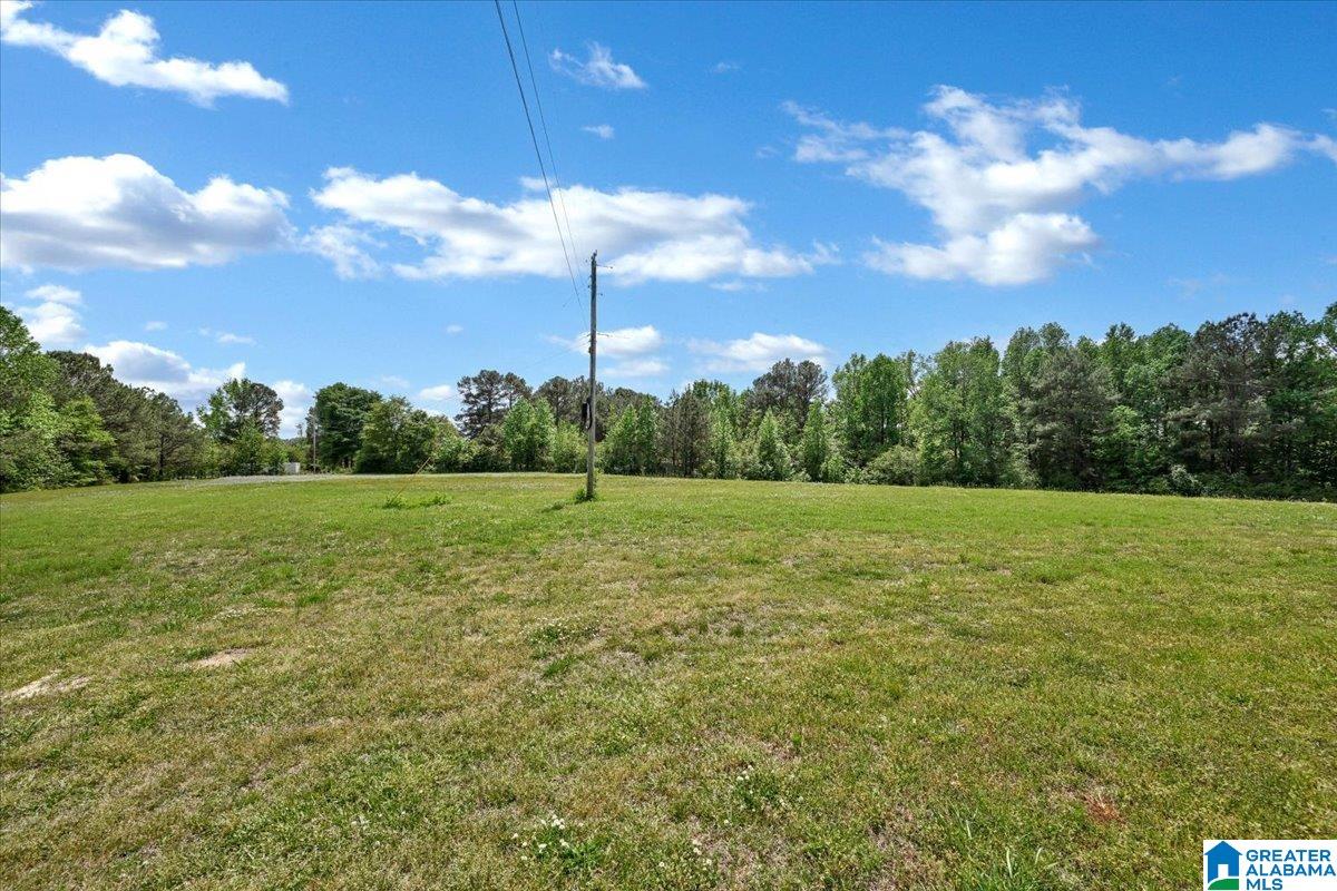 888 County Road 1663 Cullman, AL 35058 - Photo 6 of 20