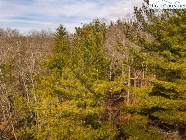 $49,900 | Lot 11 Forever Drive, Fleetwood, NC 28626