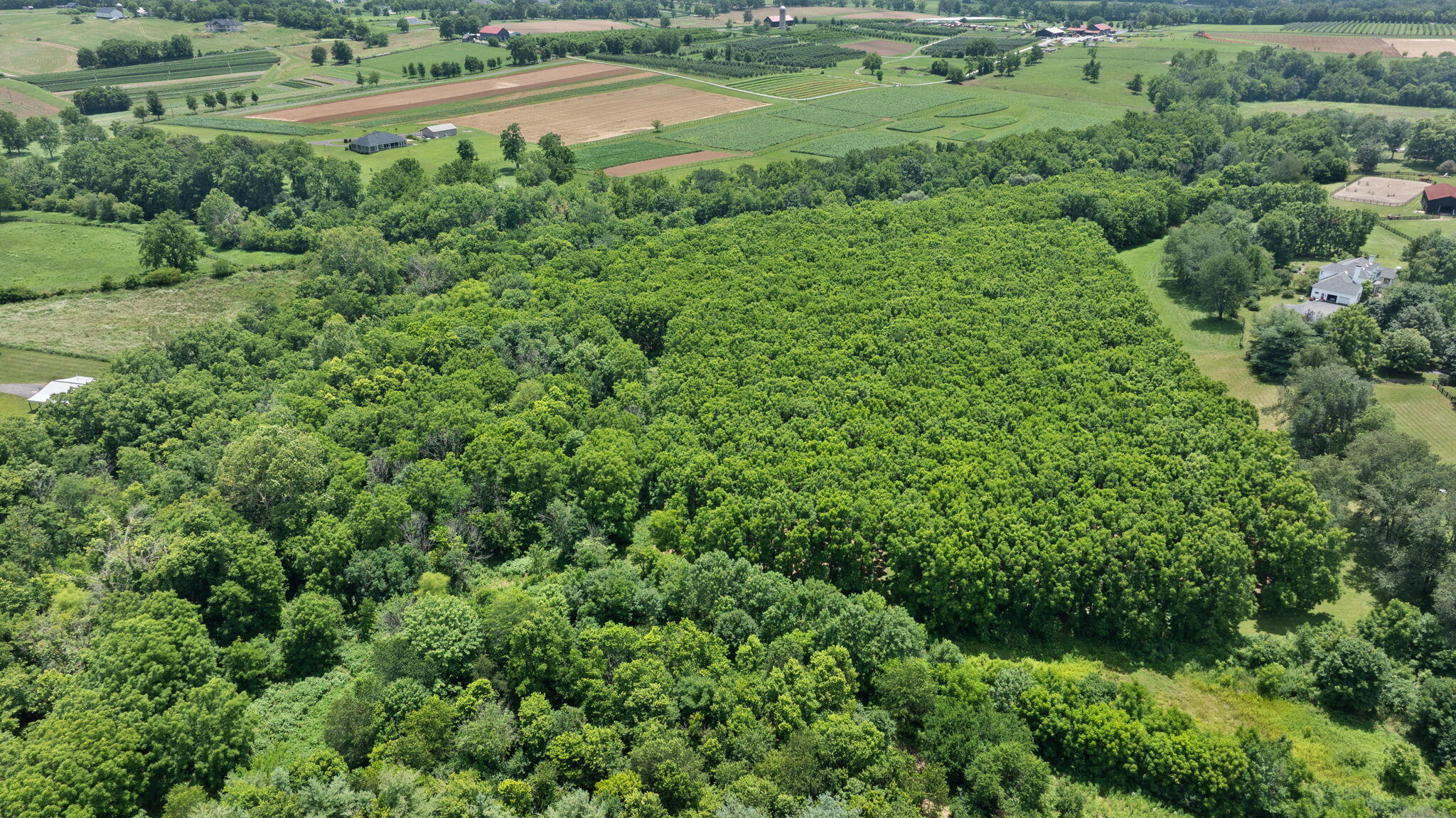 5365 Paris Road Georgetown, KY 40324 - Photo 38 of 43 36-web-or-mls-DJI_20250707135620_0303_D