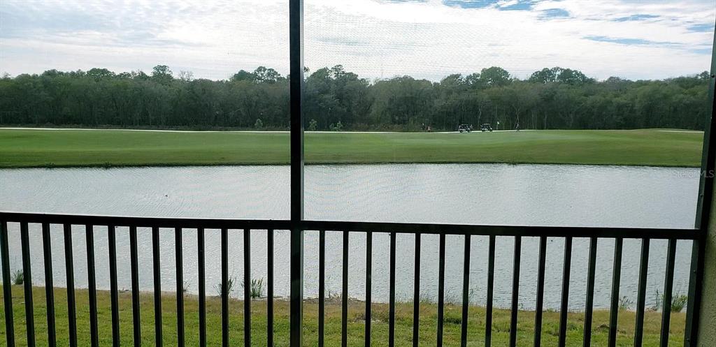 17724 Gawthrop Drive, Unit 204 Bradenton, FL 34211 - Photo 48 of 55 a street view from a yard