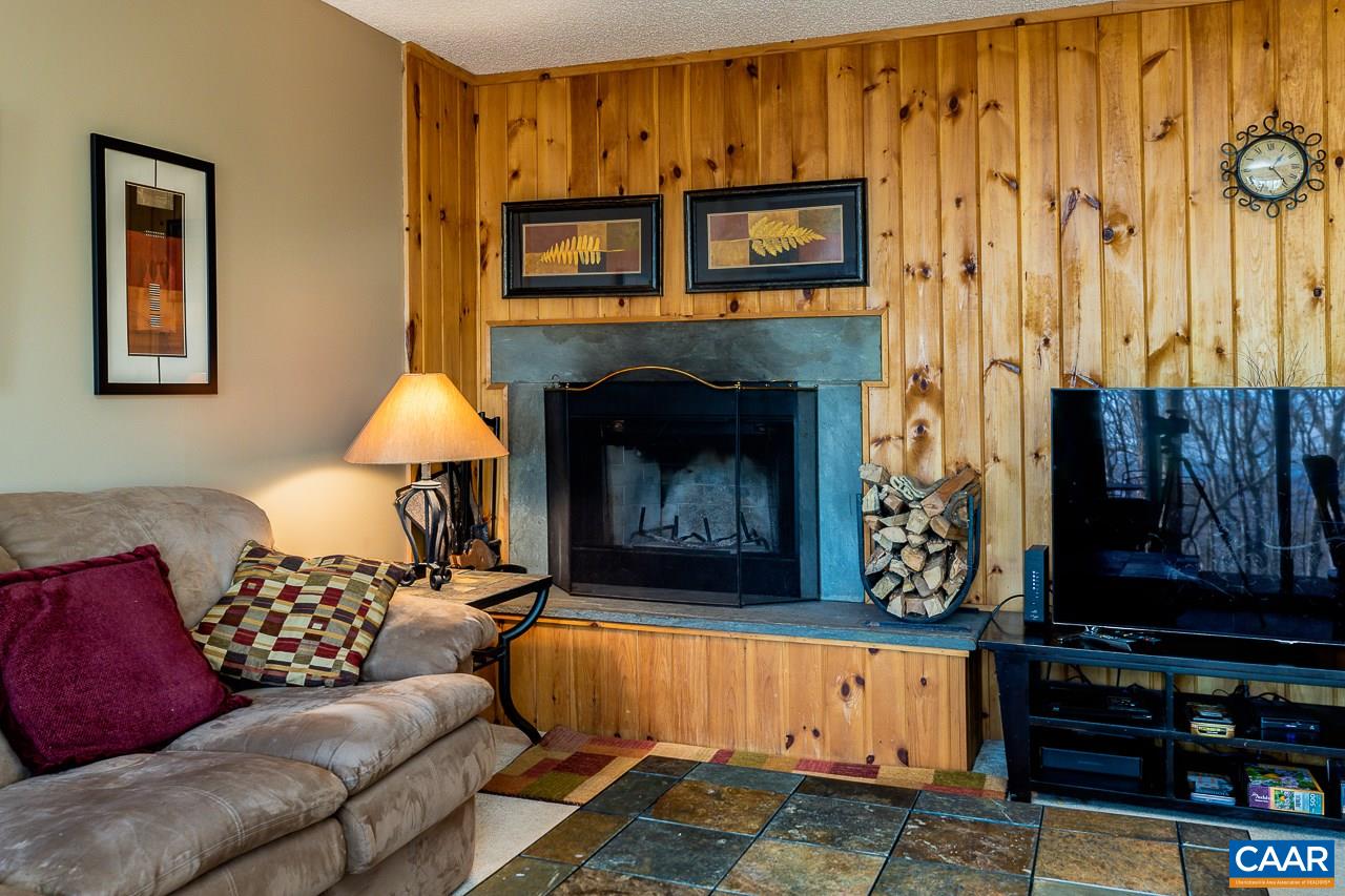 428 Three Ridges Roseland, VA 22967 - Photo 3 of 18 Gallery Image 3