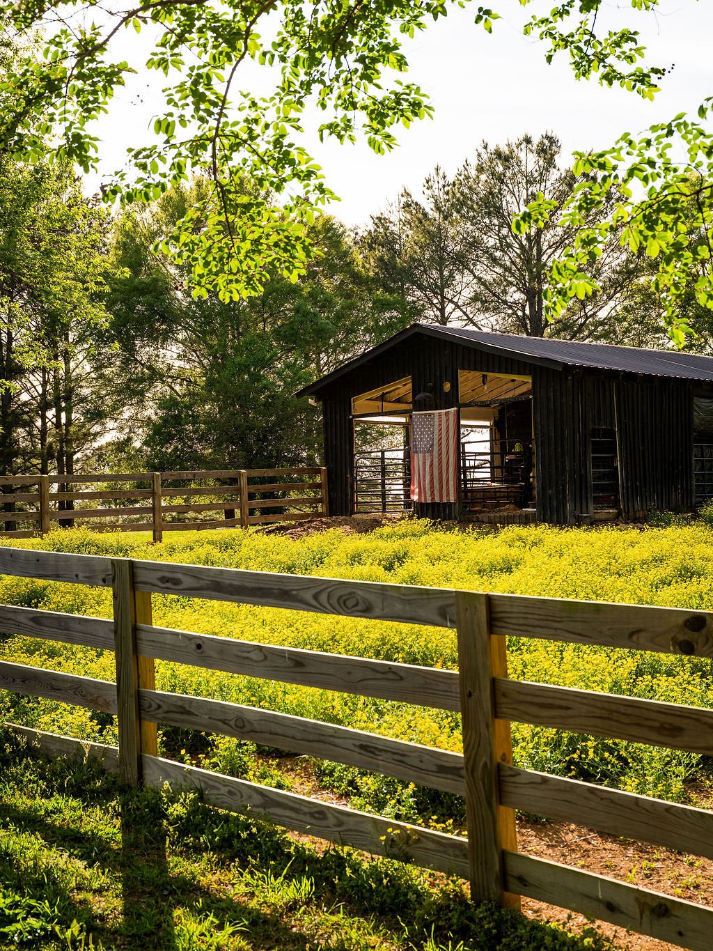 2311 Darks Mill Road Columbia, TN 38401 - Photo 63 of 97 Gallery Image 63