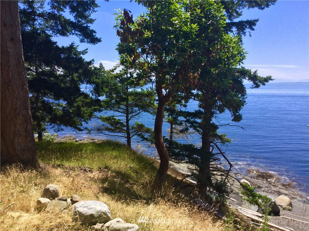 2014 South Side Road Stuart Island, WA 98250 - Photo 11 of 25 Gallery Image 11