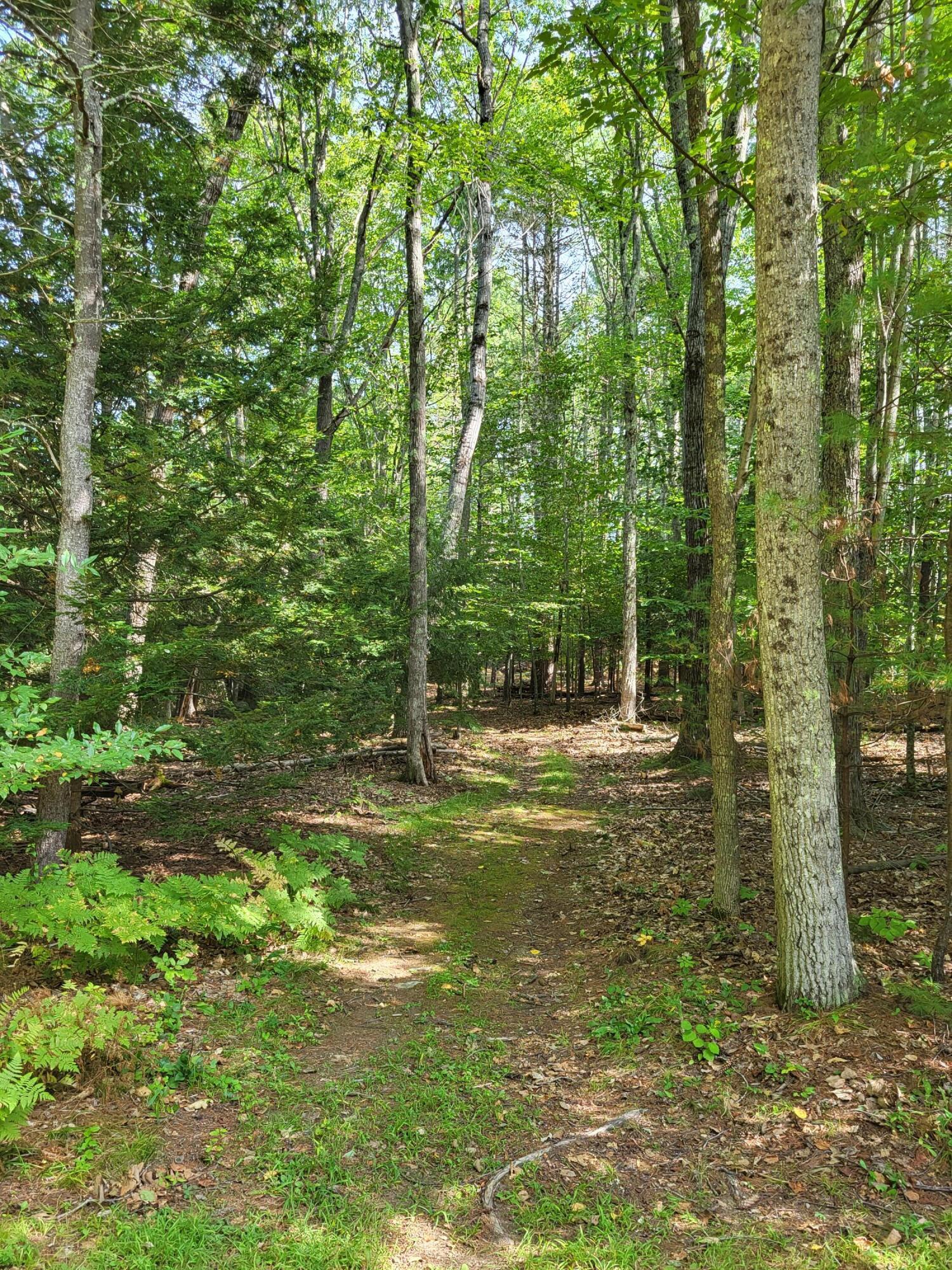 99 Land Of Nod Road Windham, ME 04062 - Photo 66 of 66 1000009831