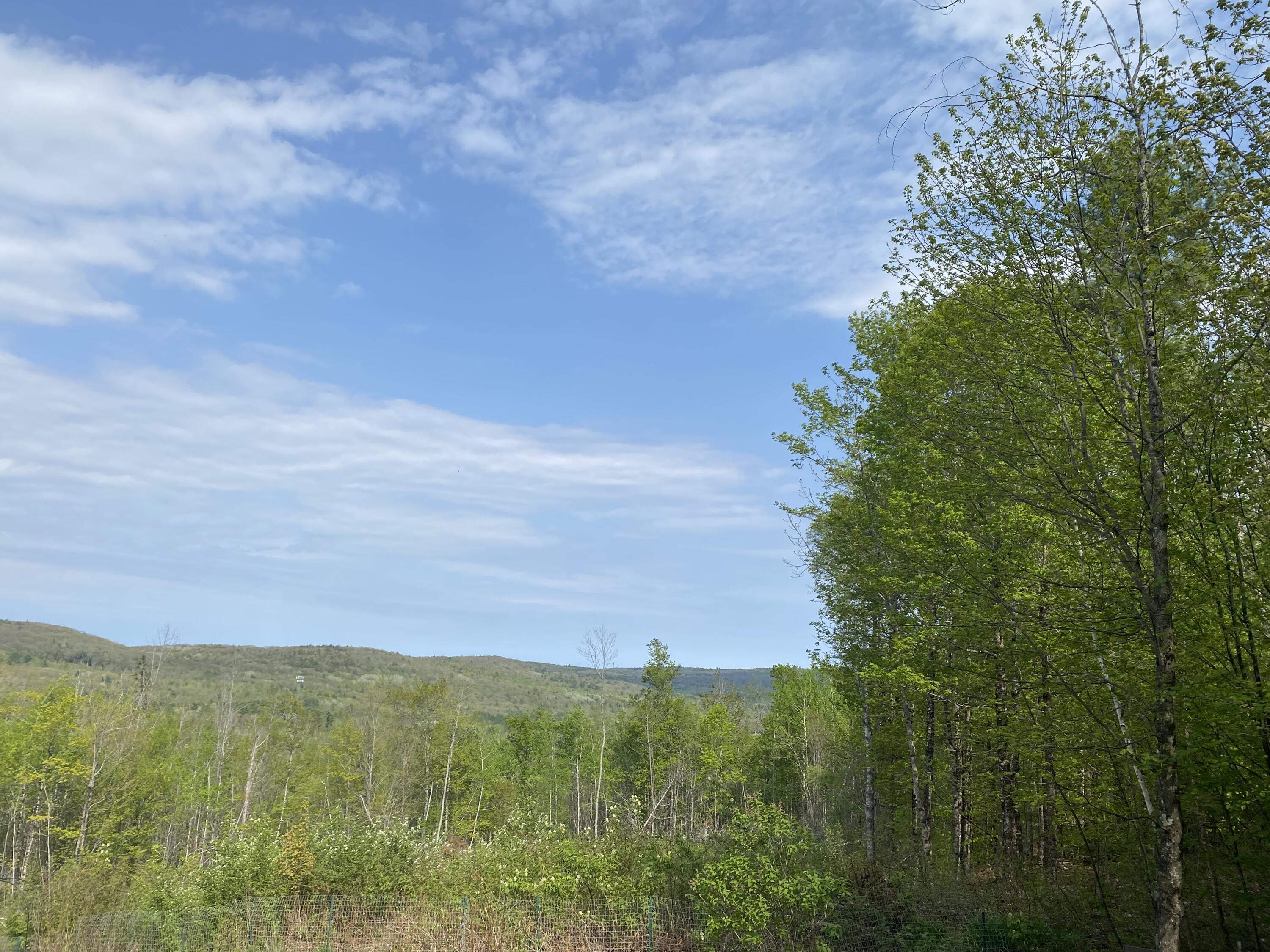 Lot #042 Tower Road, Unit M 005 L 042 Vienna, ME 04360 - Photo 4 of 12 IMG_2675