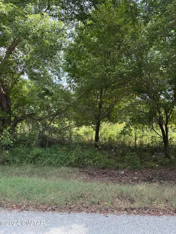 a big yard with lots of green space and deers
