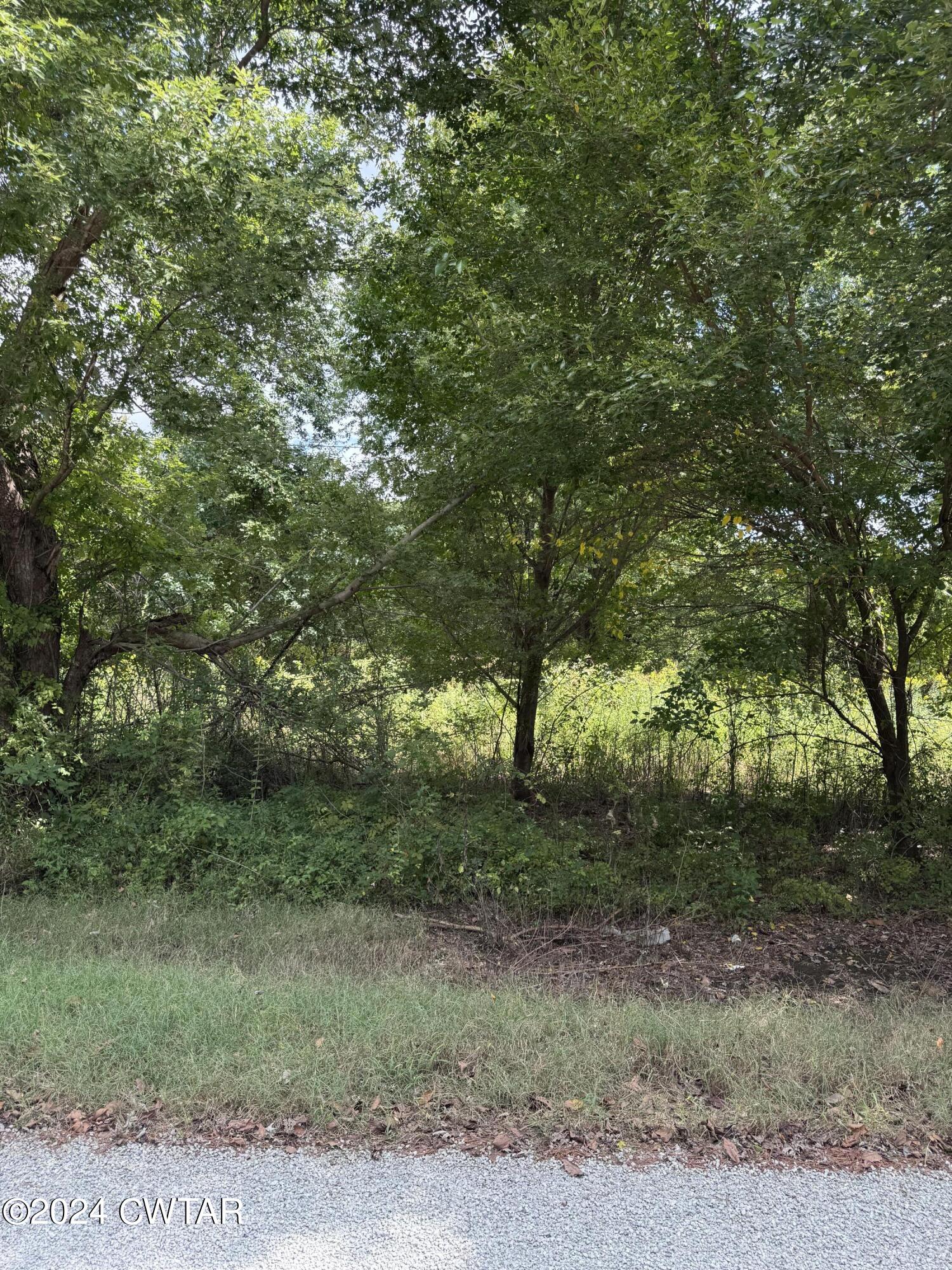 333 Charlie Lewis Road Trenton, TN 38382 - Photo 1 of 11 a big yard with lots of green space and deers