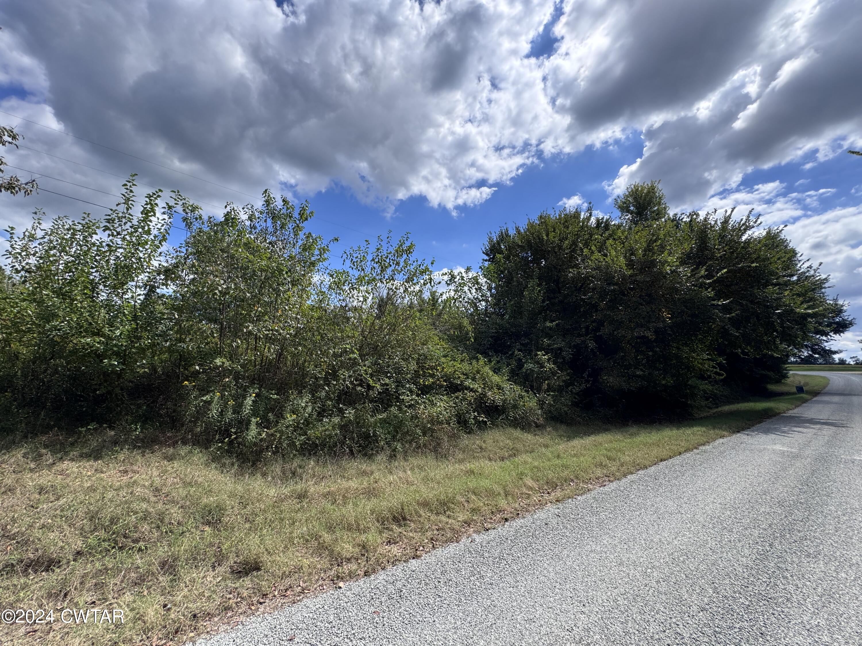 333 Charlie Lewis Road Trenton, TN 38382 - Photo 8 of 11 a view of a yard