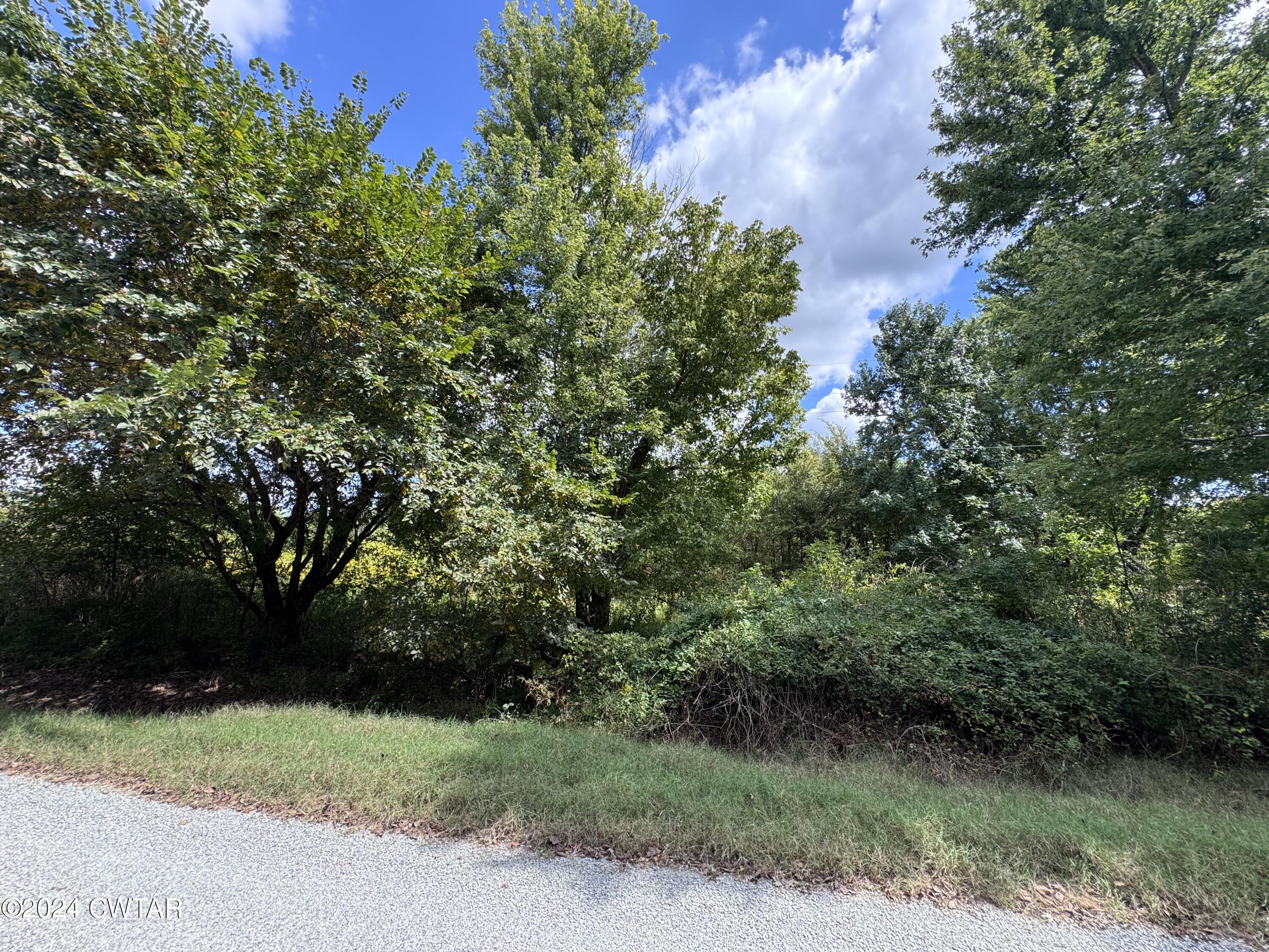 333 Charlie Lewis Road Trenton, TN 38382 - Photo 9 of 11