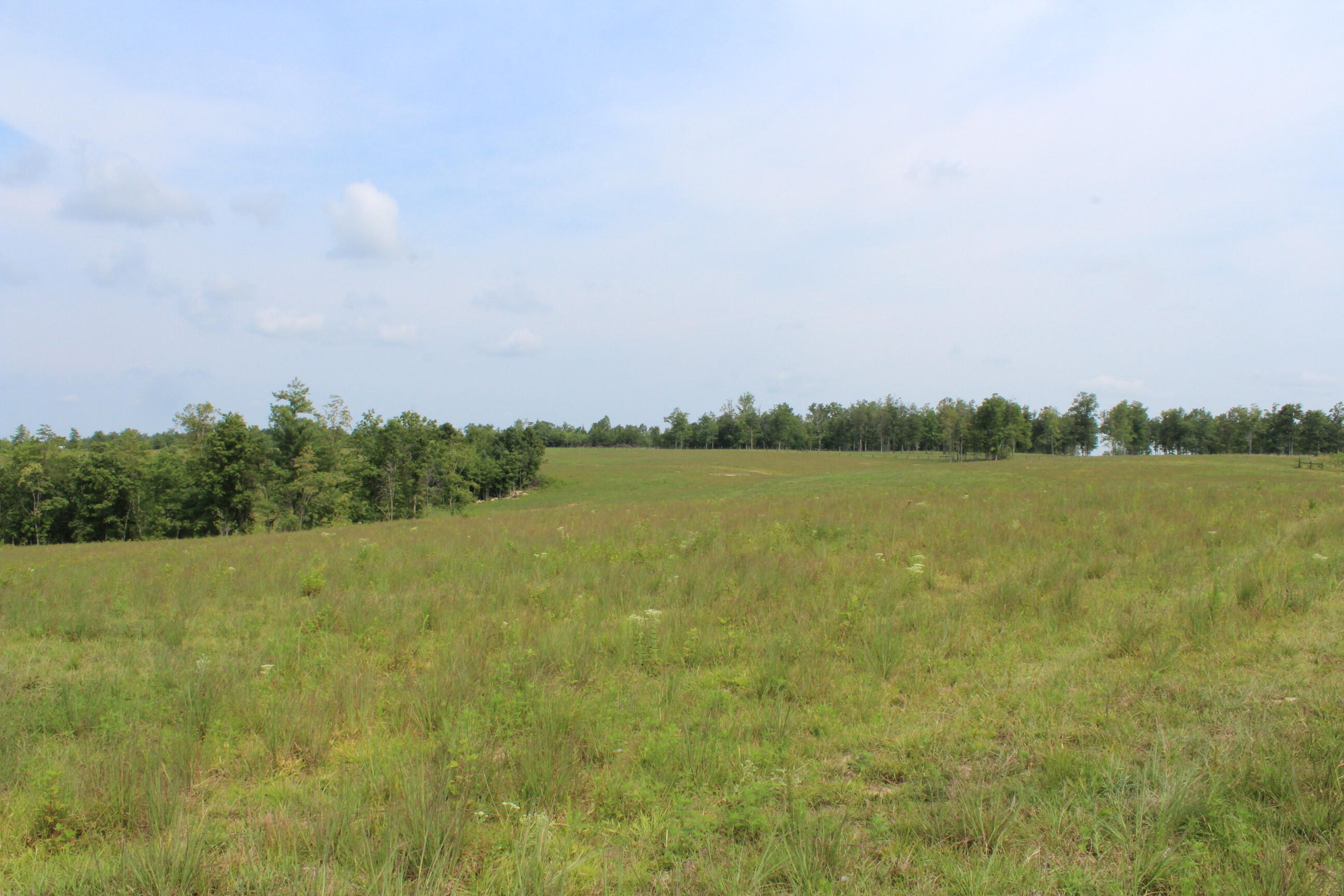 Crestview Lane Clarkrange, TN 38553 - Photo 1 of 19 repo 298