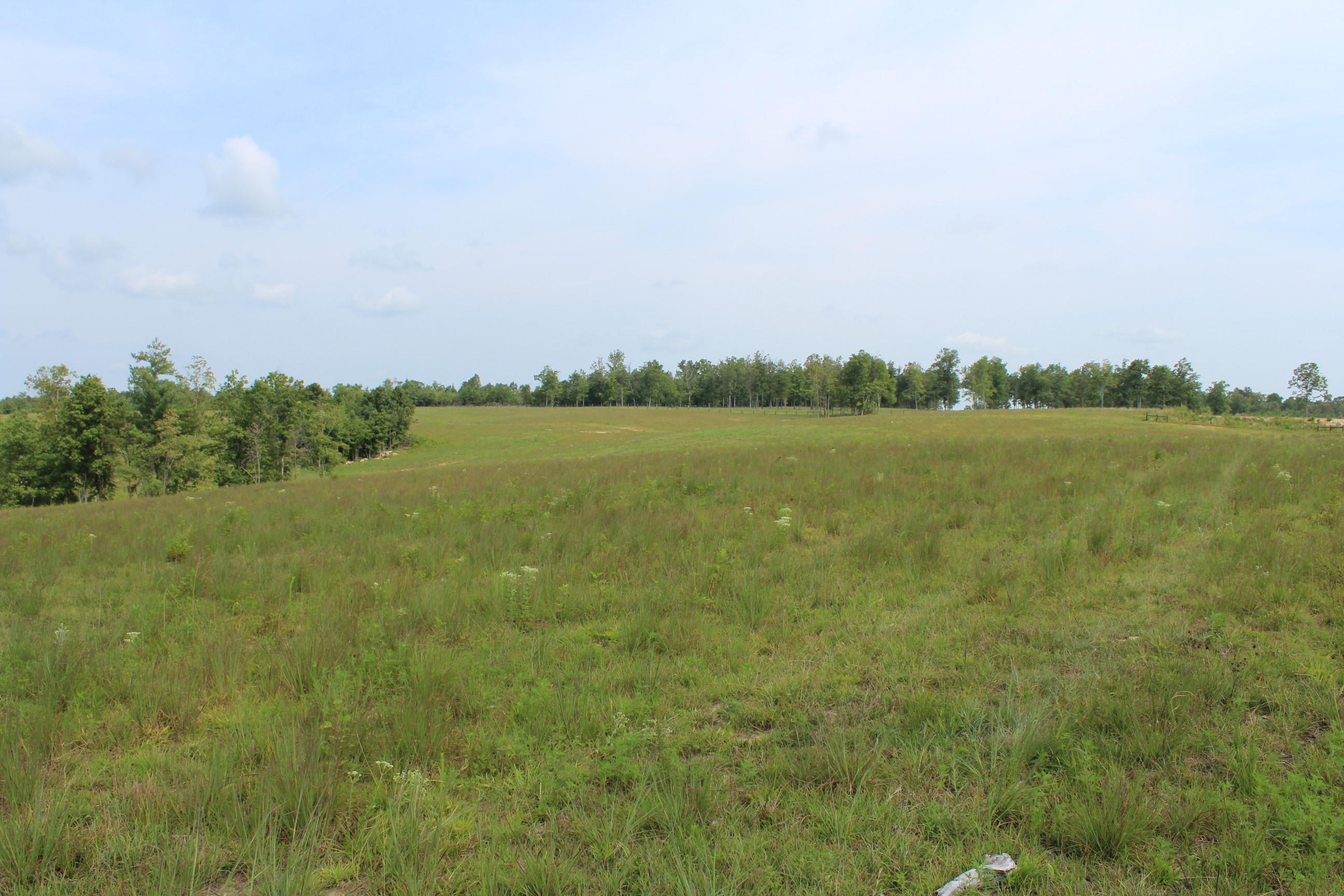 Crestview Lane Clarkrange, TN 38553 - Photo 2 of 19 repo 299