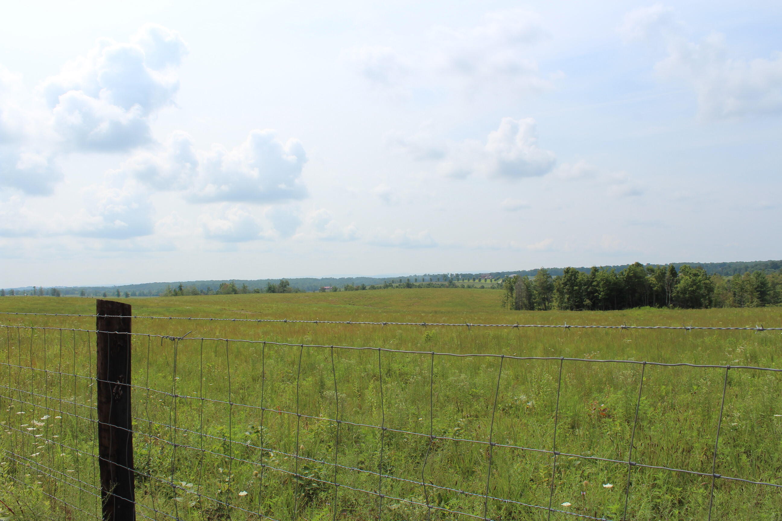 Crestview Lane Clarkrange, TN 38553 - Photo 12 of 19 repo 309